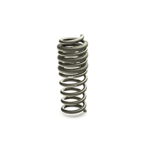 Eibach Springs Pro Kit Camaro Set of 4 Springs - Image 2