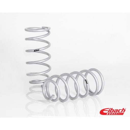 Eibach Pro-Lift Suspension Spring Kit - 1" Lift - Rear - 2 Coil Springs - Silver Powder Coat