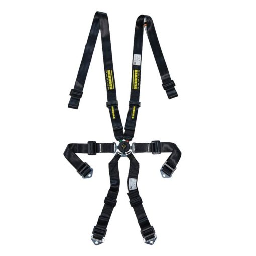 Schroth Profi 2x2 Harness - 6-Point - Pull Down Lap - Black